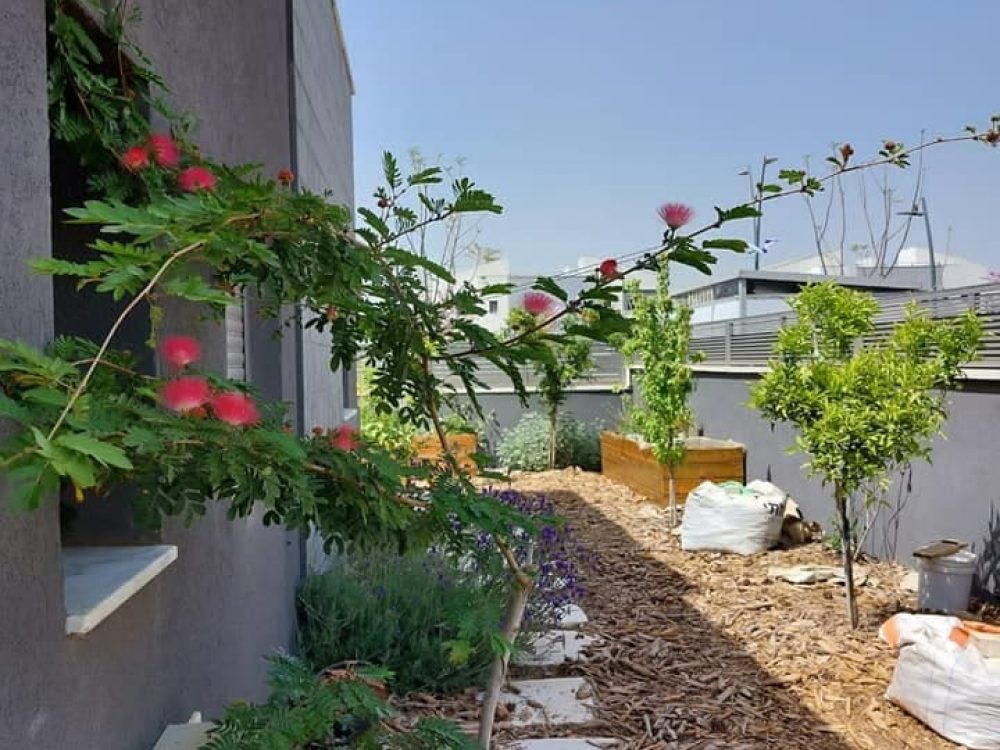 WhatsApp-Image-2025-02-25-at-9.01.24-PM-1-r2aud6mp4g3n6s498n1z1iy5femnhneiqqx7lbm98s